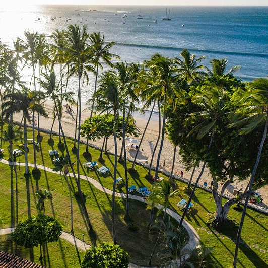 Costa Rica: The Secure Tropical Gem
Hobbies for Your Honeymoon