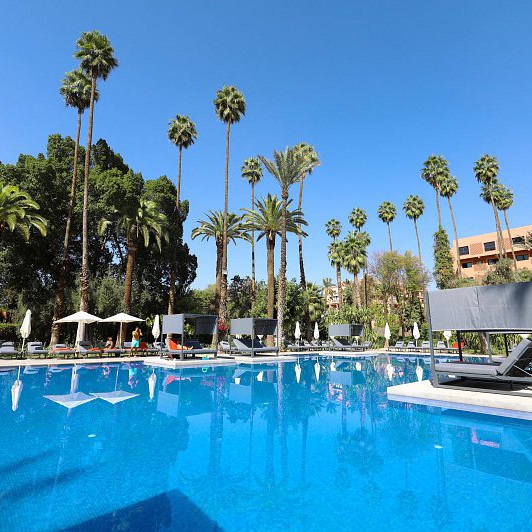 Marrakech, Morocco: A Tapestry of Life and Culture
Hobbies for Your Honeymoon
