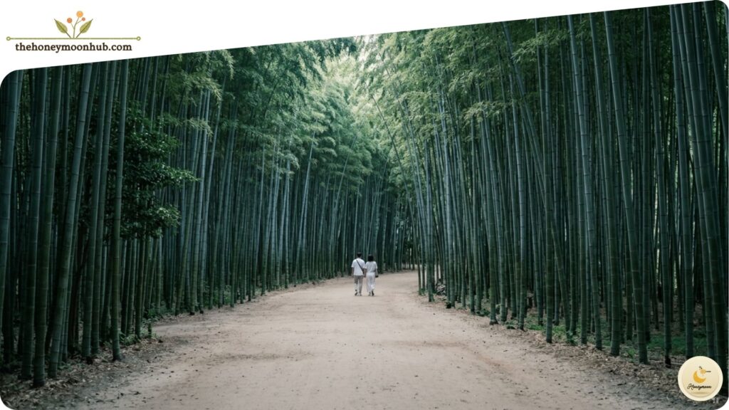 Kyoto & Japanese Alps, Japan (Late September)