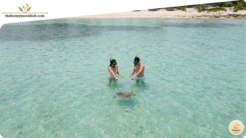 Where to Stay Area-Based Guidance for Honeymoon Resorts in Mexico