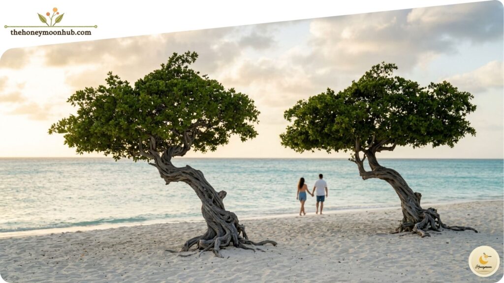 Where to Stay in Aruba for Couples Top Romantic Areas 2026