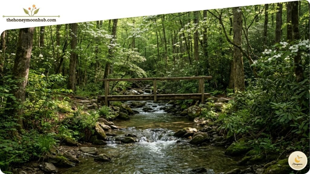 Olympic Peninsula, Washington Rainforests and Coastal Drives
